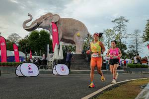 BIB: 
                            <button type="button" onclick="openModal(26528599)" class="btn btn-primary btn-sm float-right btn-popup" data-toggle="modal" data-target=".modal-high-quality">
                        <i class="fas fa-shopping-cart"></i> Add to Cart
                    </button>
                                            <button type="button" onclick="isThisMe(26528599, true)" class="btn btn-success btn-sm float-right btn-popup btn-isme hidden" data-toggle="tooltip" data-placement="bottom" title="นี่คือรูปของคุณใช่ไหม คลิกที่นี่เพื่อเอาเข้าอัลบั้ม">
                        <i class="fas fa-plus"></i> Add to album
                    </button>
                    <button type="button" onclick="isThisMe(26528599, false)" class="btn btn-warning btn-sm float-right btn-popup btn-isnotme hidden">
                        <i class="fas fa-ban"></i> Remove from album
                    </button>